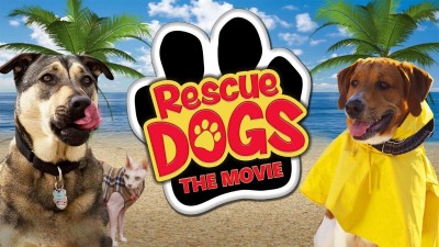 Chú Chó Cứu Hộ - Rescue Dogs