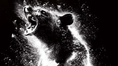 Gấu Điên - Cocaine Bear