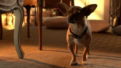 Nữ Minh Tinh và Chàng Lãng Tử 3: Bữa Tiệc Lớn! - Beverly Hills Chihuahua 3: Viva la Fiesta!